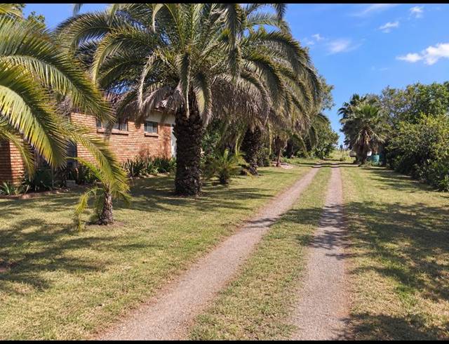 FARM FOR SALE IN VASFONTEIN